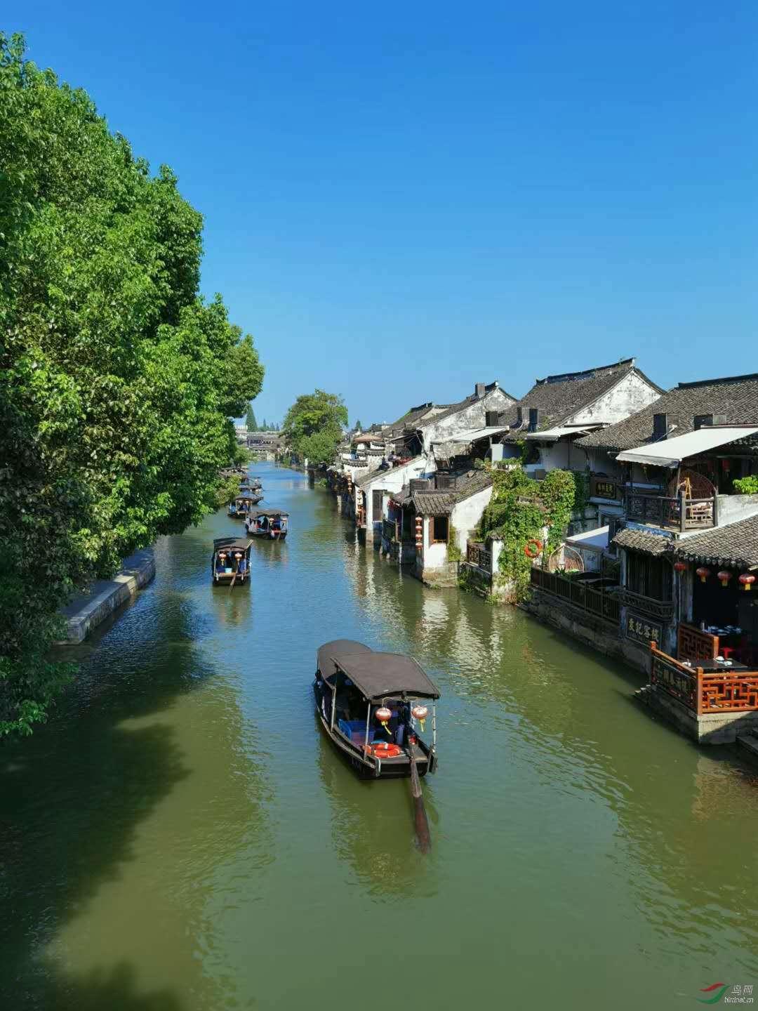泪目!46年后,她跪倒在母亲的怀里大哭